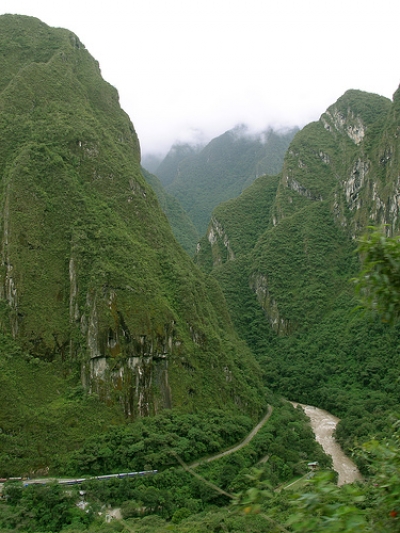 jungle train